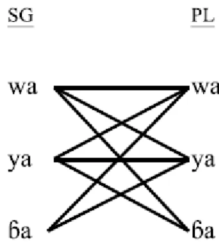 Figure 1.  The  Bena-Yungur  gender system