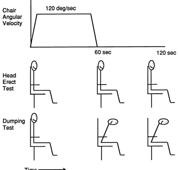 Figure  2.1:  Schematic of Head  Erect and  Dumping  Test  Procedures