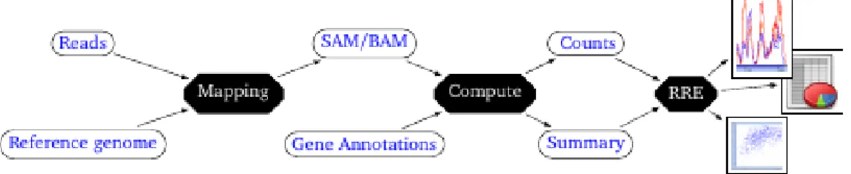 Figure 1: Overview of the read processing pipeline and position of RRE as a secondary analysis tool