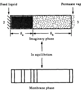 Fig. 1.  A schematic  diagram of the  transport  model.  Therefore,  vapor  permeation  rate  equations  for com-  ponents  i  and j  can  be  written  as  follows: 