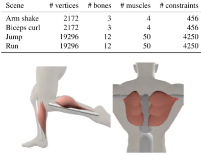Table 1. Summary of the scenes used for our results. The number of PBD constraints is given for 30 particles per muscle.