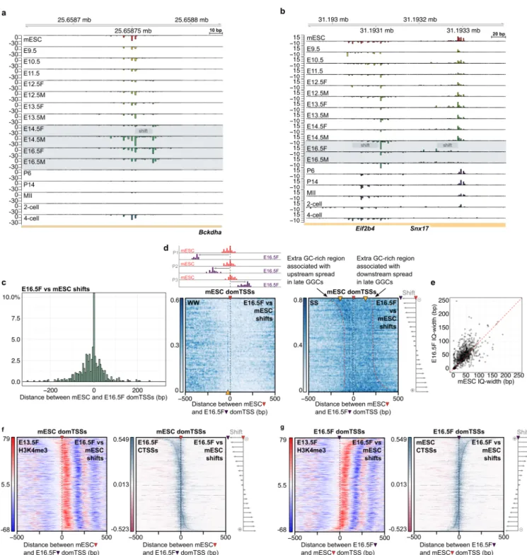 Figure 4. A novel genome-wide change of the somatic promoter code in the late gonadal  germ cells precedes the transition to the maternal code