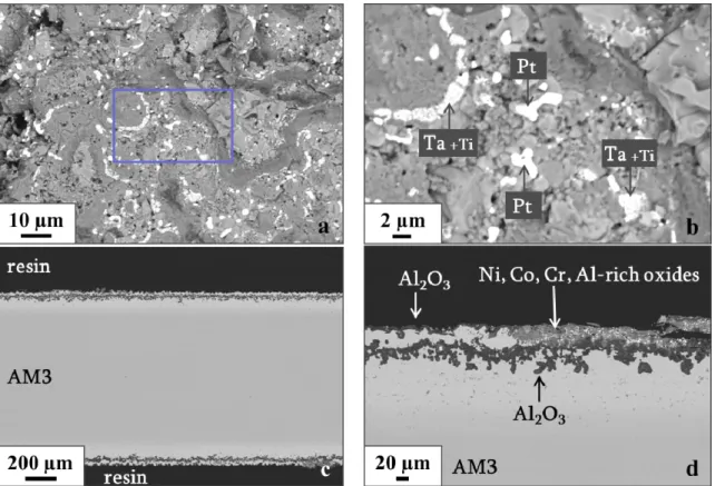 Figure 6. Area of catastrophic degradation of AM3-Trib-Pt/2 TBC system, after 300 cycles; (a,b)  Surface morphology of the bond-coating, (b) is an enlargement of the rectangle area of (a) showing  Ta-rich particles (containing some Ti) and Pt-particles; (c