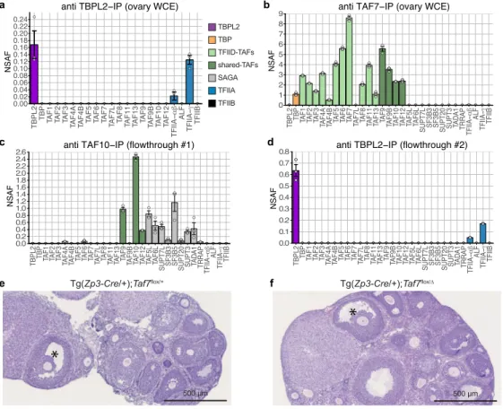 Fig. 1 | TBPL2 does not assemble in a TFIID-like complex during oocyte growth. a, anti TBPL2 immunoprecipitation followed by mass  spectrometry (IP-MS) analysis from three biological replicates of mouse ovarian whole cell extracts (WCE)