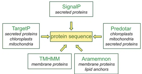 Figure 4. Bioinformatics tools for prediction of protein sub-cellular localization.