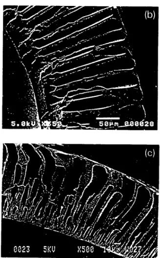 Fig.  4.  Comparison of  finger-like cavity  structure  of  hollow  fibres  spun from casting solution with different weight ratios of additives  at  45°C:  (a)  P V P / P E S = 0 