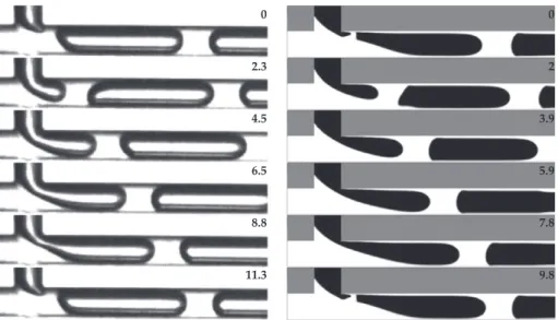 Fig. 12. Slug flow close to the slug-churn transition in (left) experiments and (right) numerical simulations