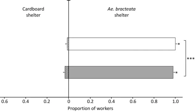 Figure 1. Mean proportion of N. villosa workers (± SEM) in shelters consisting of Ae. bracteata leaves  (empty bars) vs