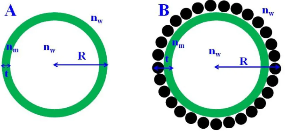 Figure S8. Schematic representation of model used in theoretical expression (Eq- S4) of light  scattering intensity for free liposomes in the absence (A) and in the presence (B) of SiO 2