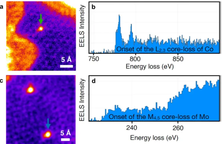Figure  S2. (a) High-resolution STEM  image  of  a  Co  atom  in  a  graphene  layer  in  the  N-Co-Mo-GF/CNT sample  with  (b)  the  corresponding  EELS  map,  confirming  the  presence  of  single-atom  Co  in  the  graphitic lattice