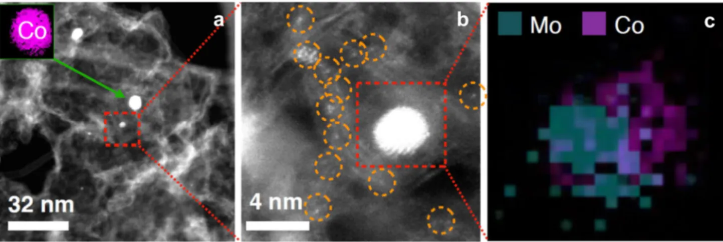Figure S5. (a) STEM image of N-Co-Mo-GF/CNT. The inset shows the EELS map of a Co particle on the sample