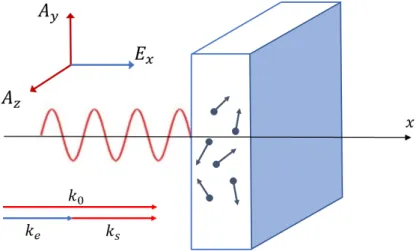 Figure 1. Schematic view of the geometry of the laser-plasma interaction during stimulated Raman scattering.