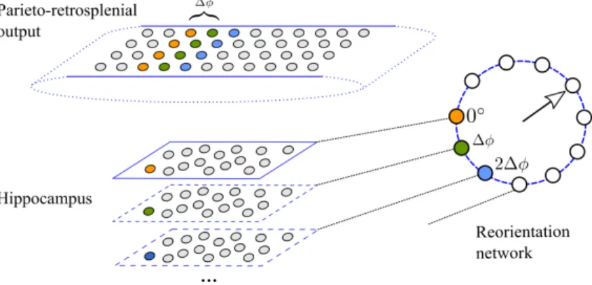 Figure 2. Implementation of the reorientation network. Top: the output population of the parieto-retrosplenial network