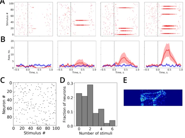 Figure 6. Visual responses of modeled hippocampal neurons. A. Spike raster plots for four example neurons in response to presented visual stimuli