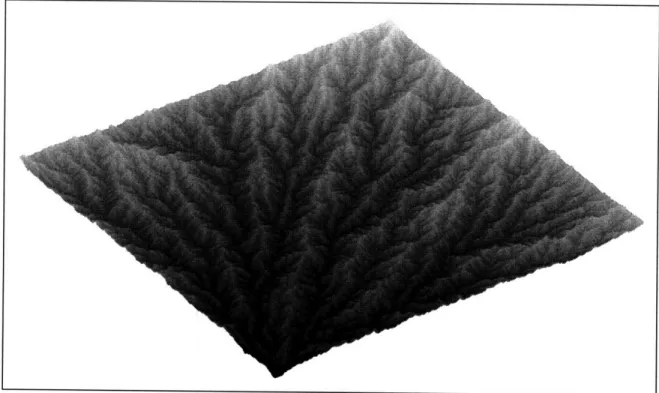 Figure  4-3:  A  basin  developed  by  the  Headward  Growth  variant