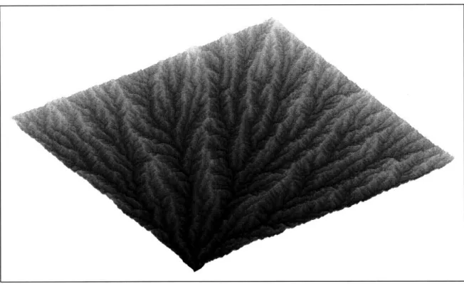 Figure  4-4:  A  basin  developed  by  the  Simultaneous  Growth  variant