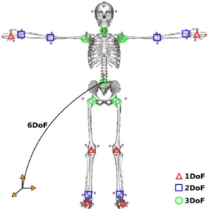 Fig. 2. Whole-body 3D skeletal model [12]