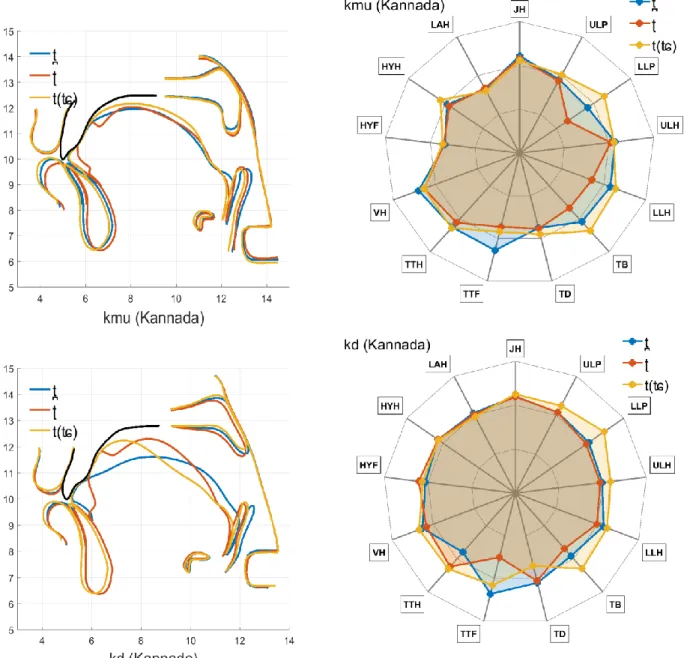 Figure 7. Overlaid average contours (left) and radar displays of articulatory parameters (right) for stops/affricate at the  dental /t̪/ vs