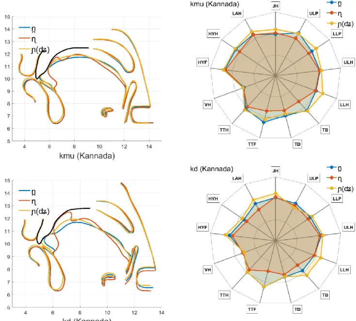 Figure 8. Overlaid average contours (left) and radar displays of articulatory parameters (right) for nasals at the dental  /n̪/ vs