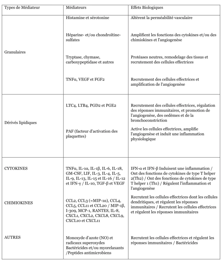 Table 4 : Principales classes de médiateurs libérés par les mastocytes. CCL, CC-chemokine  ligand;  CXCL,  CXC-chemokine  ligand;  FGF2,  fibroblast  growth  factor  2;  GM-CSF,  granulocyte/macrophage  colony-stimulating  factor;  IFN,  interferon;  IL,  