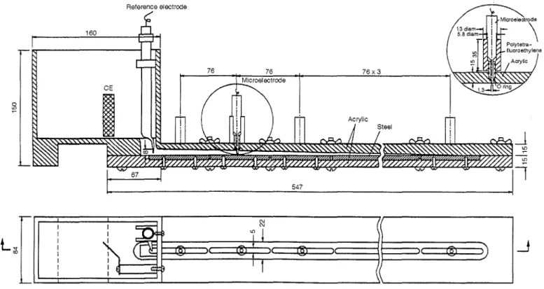 FIGURE 2. Schematic of the electrochemical cell simulating the crevice steel under a disbonded coating.