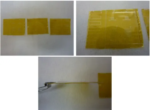 Figure 2 : Puces microfluidiques, sur lame de verre de 140 µm d’épaisseurs, réalisées à l'aide de films secs  DF-1000 series