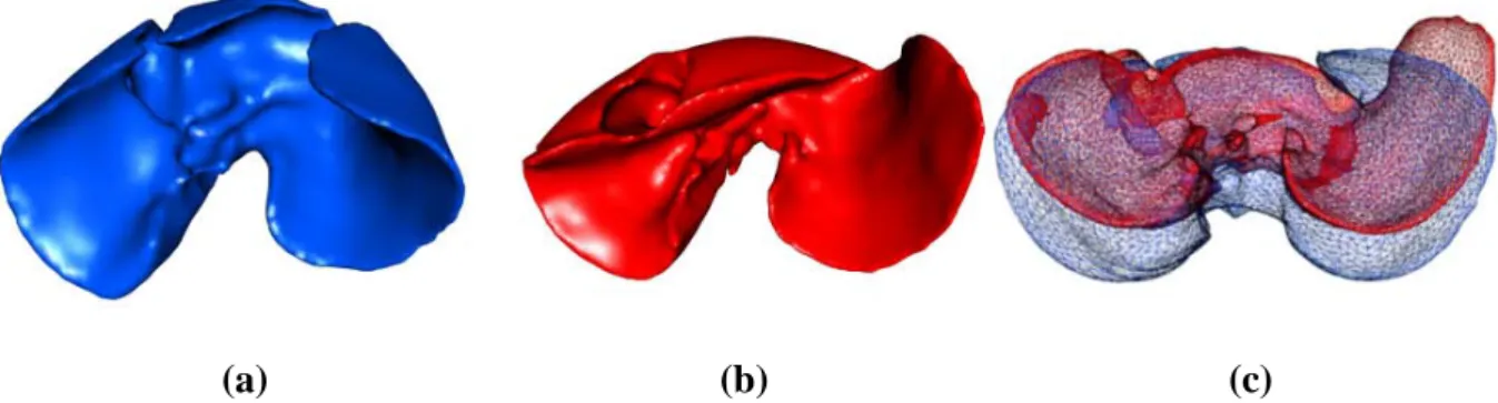 Fig. 1. Porcine liver surface meshes before (left column) and after pneumoperitoneum (middle  column)