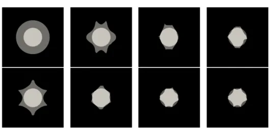 Figure 4. Noisy case, the shape is in black, the hole in gray.