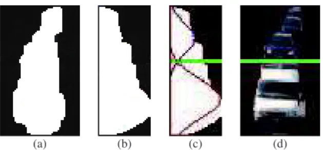 Fig. 3. Detected blob (a), variation of the blob width along the vertical axis (b) and blob splitting (c-d).