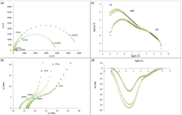 Fig. 11. Impedance diagrams of S235JR mild steel electrodes plotted at E oc at t = 0 (just before the injection), t = 5 h and t = 24 h in a 0.1 M Tris–HCl medium, pH 7