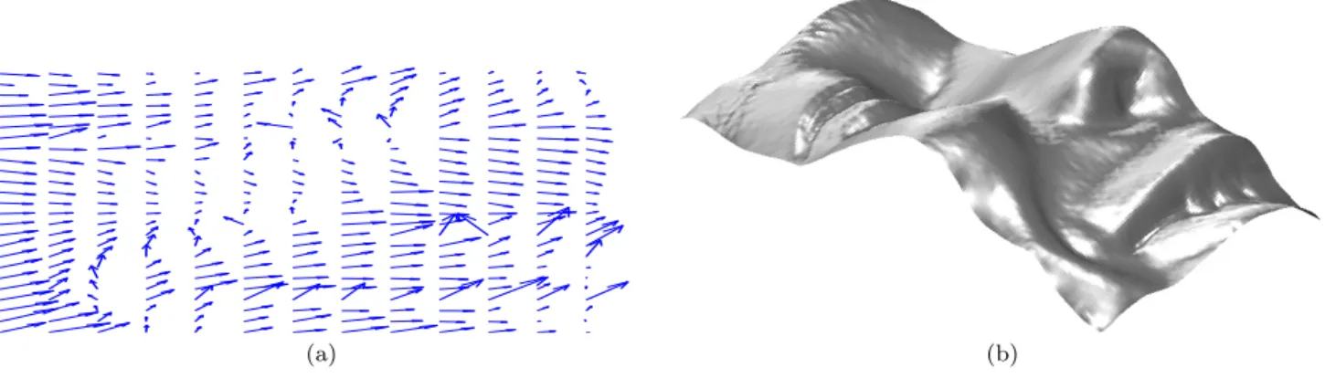 Fig. 6 (a) Gradient field g face of a face estimated via photometric stereo. (b) Reconstructed surface obtained by integration of g face , using Frankot and Chellappa’s method [19]