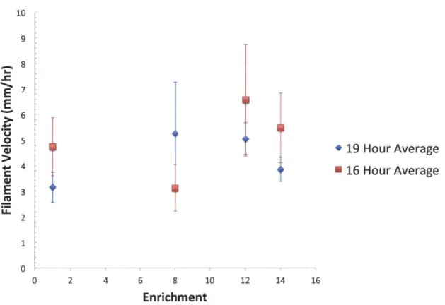 Figure  3-5:  Filament motility  (mm/hr).  The plot shows the distance traveled by filamentous gliding  cyanobacteria  from  enrichments  1,  8,  12,  and  14  over  72  hours