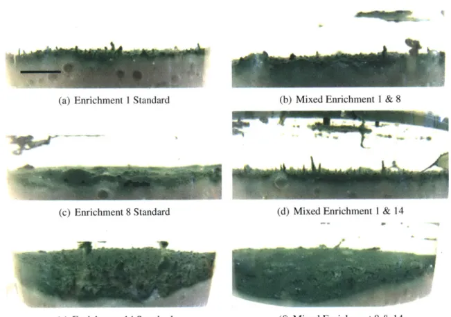 Figure  3-7:  Mixing  of cyanobacteria  (28-day  incubation).  Different  enrichments  were mixed  based  on  day  0  in  a  1:1  protein  ratio