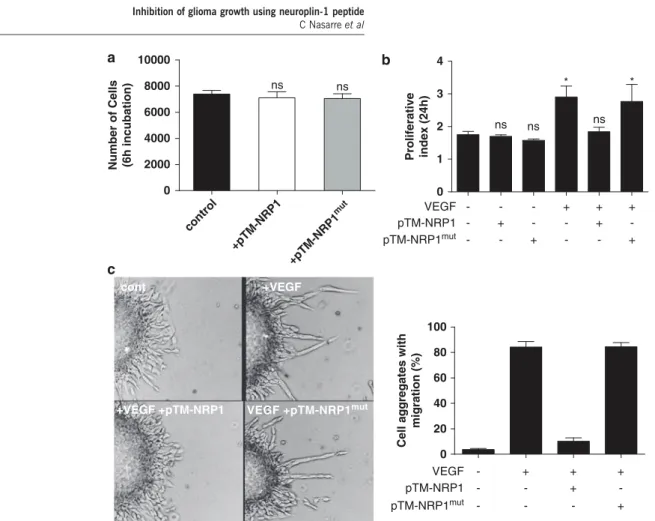 Figure 1 Inhibition of human umbilical vein endothelial cells (HUVEC) proliferation and migration