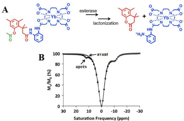 Figure 1.17: Représentation des modifications moléculaires induites par la réaction enzymatique et la  lactonisation (A)