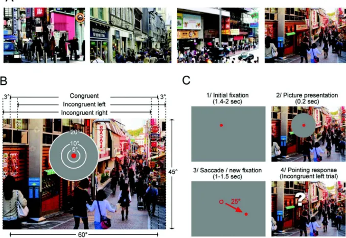 Fig. 1. (A) Exemplar images of cluttered city landscapes used in the present study. (B) Three images of 60 ° by 45 ° are created from each of the initial images by slightly shifting the view relative to the congruent image, both 3 ° left (incongruent left 