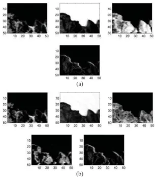 Fig. 13. Relevant abundance maps obtained with (a) K = 5 and (b) K = 10.