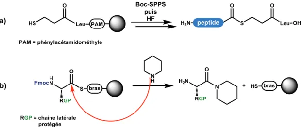 Figure 35 : a) Synthèse de peptides thioester par Boc-SPPS; b) sensibilité de la fonction thioester 