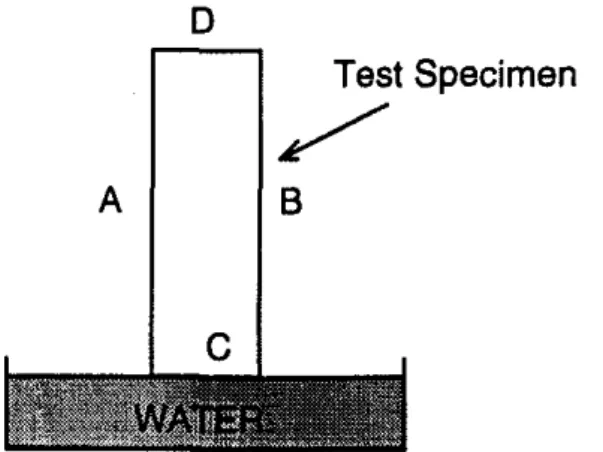 FIGURE 1.  Schematic  drawing of the moisture intake process.  All  four  longitudinal surfaces,  such  as  A and  B,  of the test  specimen are  coated  with  epoxy resin