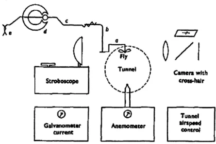 Figure 8 Arrangement of components  in Vogel  Performance Experiments taken from ([6],  p.568)