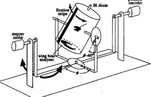 Figure 11 Model of Virtual Reality Chamber and Setup for Experimentation  on Equilibrium- Equilibrium-Reflexes  of the Fly taken  from ([2],  p.90 4 )