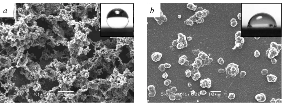 Figure 1. SEM micrographs of PPy film grown at a current density of 1.5 A/m 2 , (a) with ferric  chloride (contact angle of 154°), and (b) without ferric chloride (contact angle of 84°)