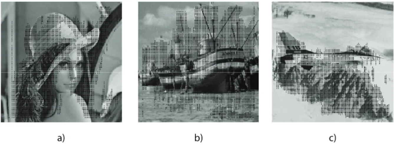 Fig. 4. The pixels from the busy regions that are selected for watermarking 