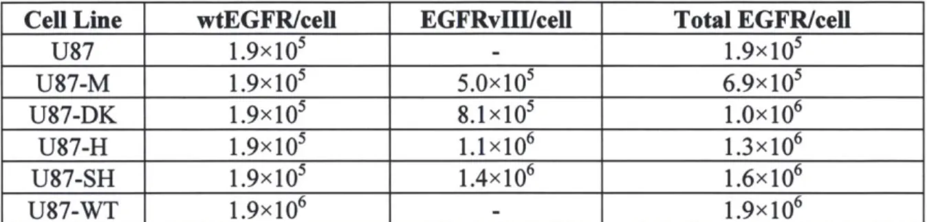 Table  2.2.  U87  cell  line  surface  EGFR  (wild  type  and  mutant)  densities.  Wild  type  (wt)  and  transfected  mutant (vII)  surface EGFR  expression  levels  as  determined  by  flow  cytometry