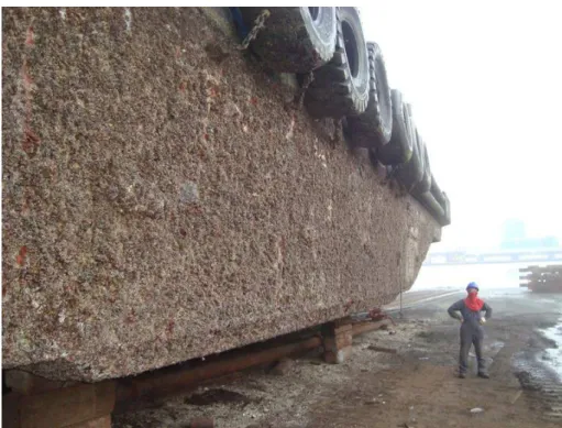 Figure 2-8: This image shows a ship hull covered with a biofouling layer [67].