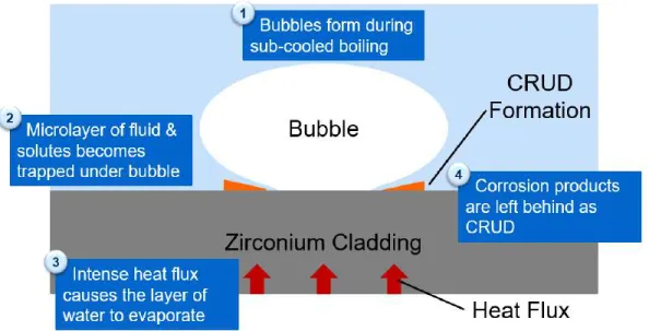 Figure 2-25: This ﬁgure shows the process of crud formation through sub-cooled boiling bubble as explained above.