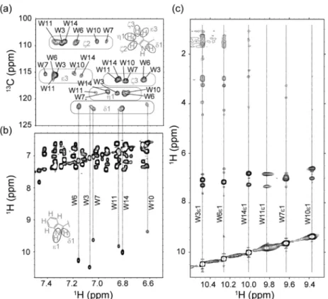 Figure 2. NMR spectroscopy of RW16 in DPC-d 38 micelles. (a–c) Chemical shift assignments of RW16 using a combination of 2D 1 H, 13 C-HSQC, 2D 1 H, 1 H-TOCSY, and 2D 1 H, 1 H-NOESY at 310 K.