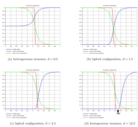 Figure 2.4: Different configurations of the numerical solution: comparison between heterogeneous evolution (a) and existence of the spatial interstitial gap within the homogeneous invasion (d)