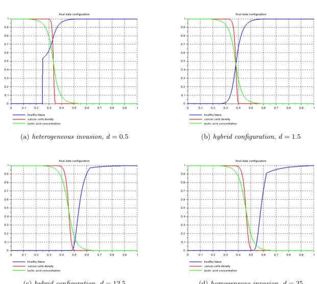 Figure 2.15: Different configurations of the numerical solution in presence of heterogeneous dif- dif-fusion (a 1 &lt; a 2 ): comparison between heterogeneous evolution (a) and existence of the spatial interstitial gap within the homogeneous invasion (d)