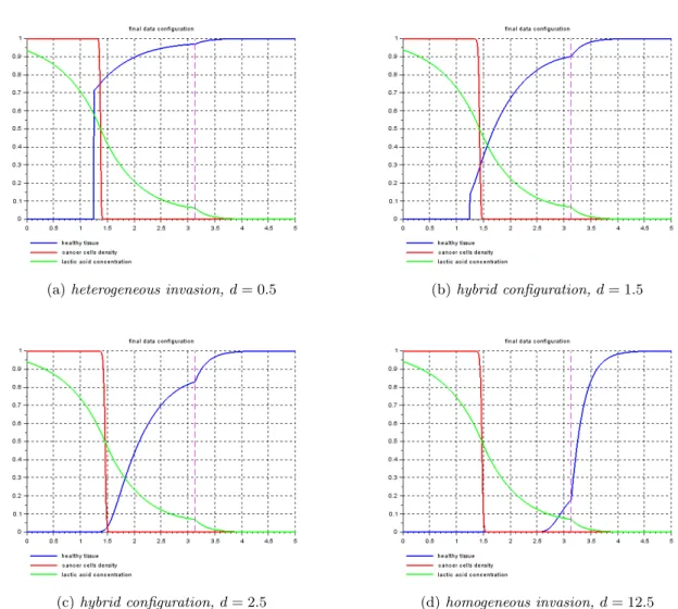 Figure 2.20: Different configurations of the numerical solution in presence of heterogeneous dif- dif-fusion (a 1 &gt; a 2 ): comparison between heterogeneous evolution (a) and existence of the spatial interstitial gap within the homogeneous invasion (d)